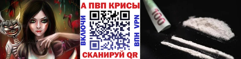 купить закладку  Ленинградская  Alfa_PVP СК 