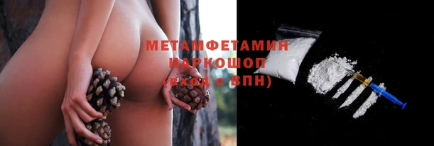 сатива Медногорск