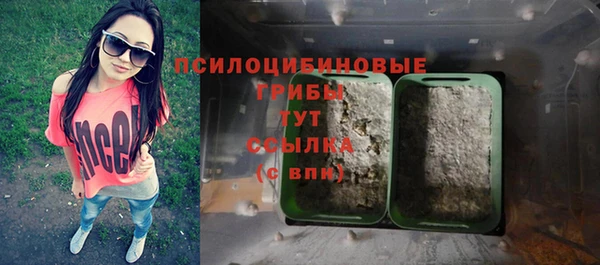сатива Медногорск