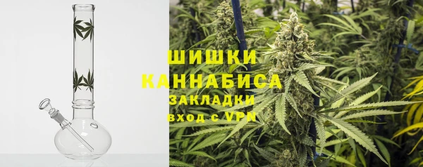 сатива Медногорск