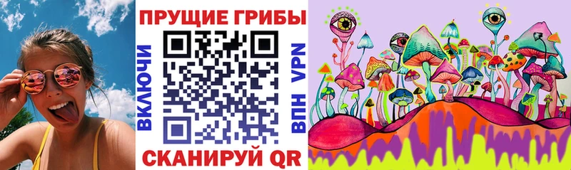 Псилоцибиновые грибы Psilocybe Ленинградская